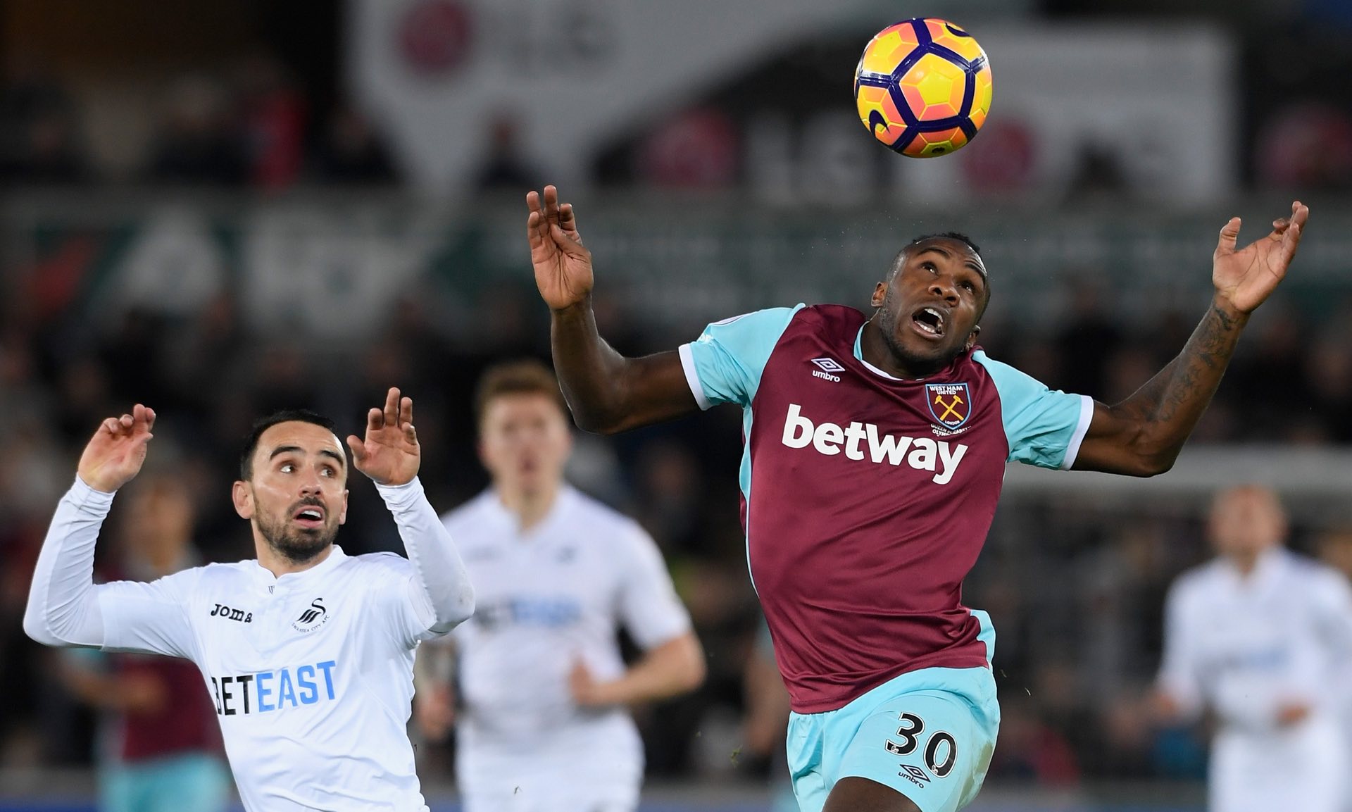 现于罗马的 现于罗马的